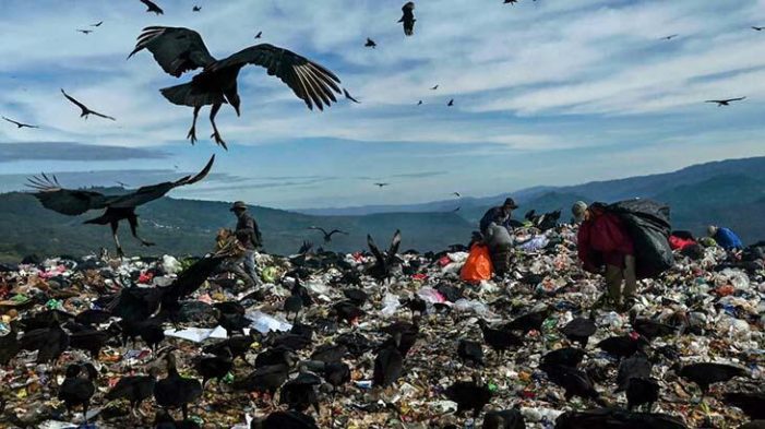 Çöplükte akbabalarla yarışıyorlar!