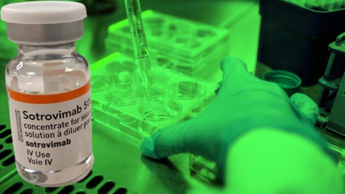 Koronavirüste yeni ilaç müjdesi!..