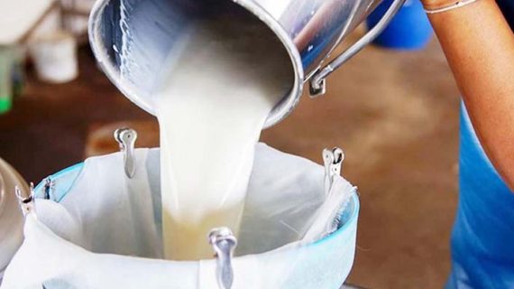 Çiğ süte gelen fiyat artışı üreticileri sevindirdi