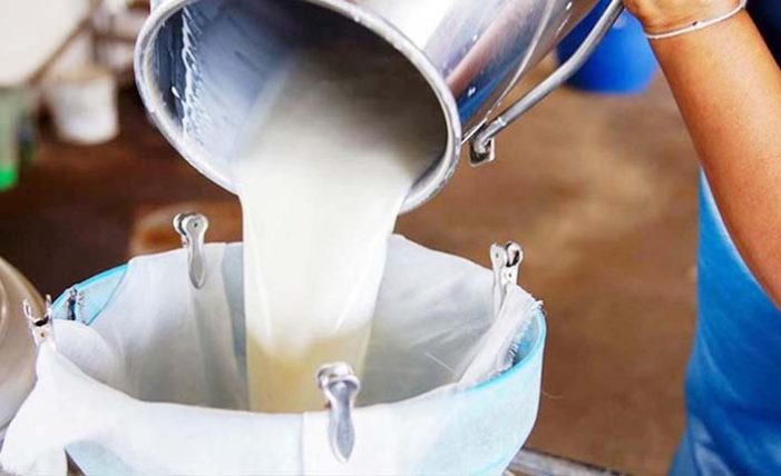 Çiğ süte gelen fiyat artışı üreticileri sevindirdi