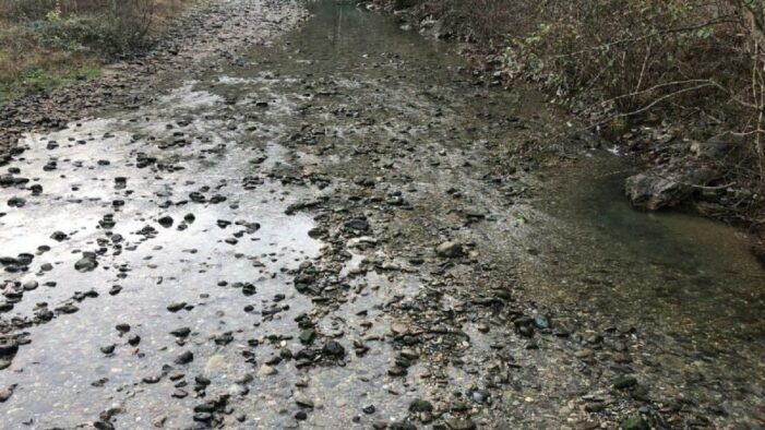 Derenin can suyu kesildi.. Balıklar ölmeye başladı