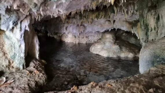 Hayvanlarını otlatırken tesadüfen binlerce yıllık mağara buldular