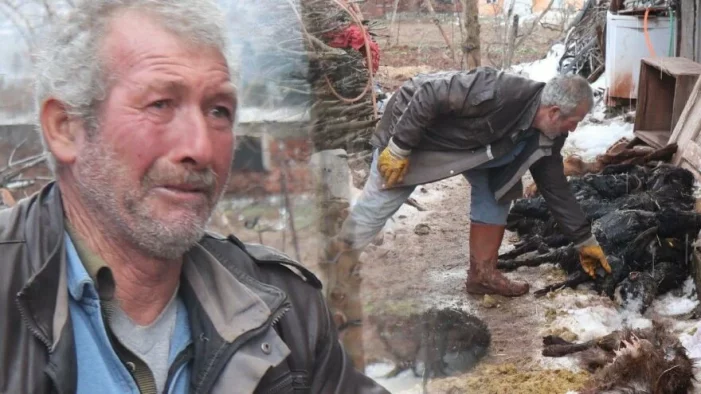 “İğne vurup 70 hayvanımı telef ettiler”
