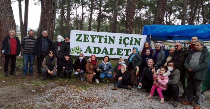 ’35 bin zeytini ya kesin ya taşıyın’ denilen İkizköylüler soluğu Danıştay’da aldı