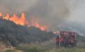 Bodrum’da orman yangını..