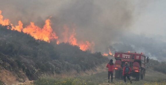 Bodrum’da orman yangını..