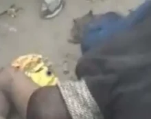 Nijerya’yı ayağa kaldıran olay: Hırsızlık yapan adamın penisini ısırdı