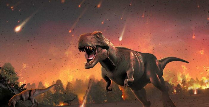 Dinozorlarla ilgili çarpıcı araştırma: ‘Çok zeki değillerdi’