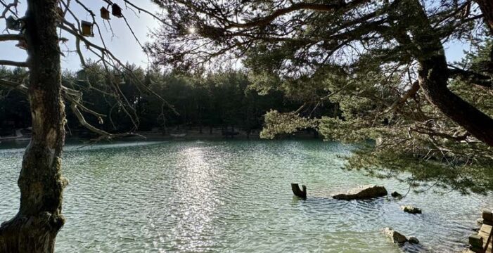 Doğayla buluşmanın adresi: Limni Gölü Tabiat Parkı