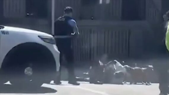 ABD’de köpeklerin saldırısına uğrayan bir kişi polisin müdahalesiyle kurtuldu
