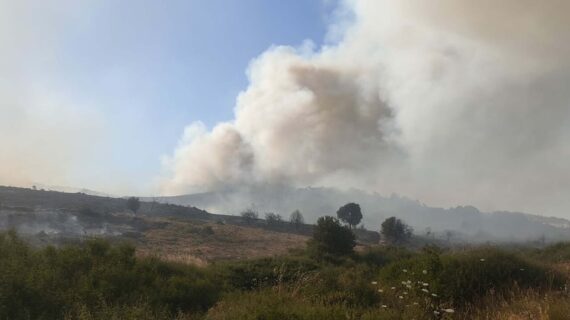 Foça’da yangın makiye sıçradı