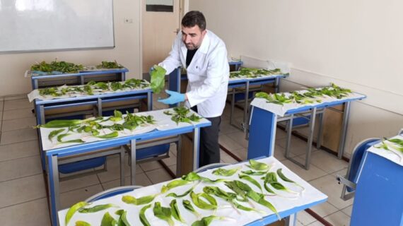 Hakkari soğanlarını kaçırmaya kalkışan İranlılara 1.1 milyon TL ceza Hakkari soğanlarını kaçırmaya kalkışan İranlılara 1.1 milyon TL ceza