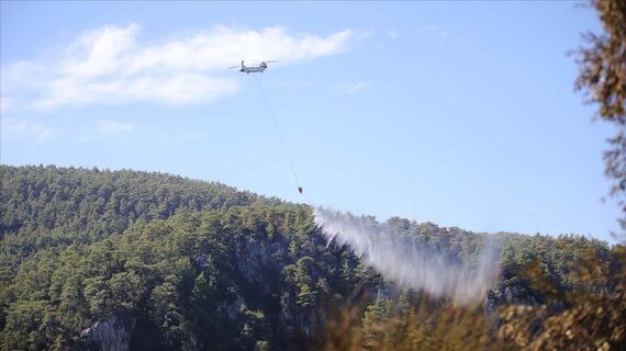 Muğla’da çıkan orman yangınına müdahale sürüyor