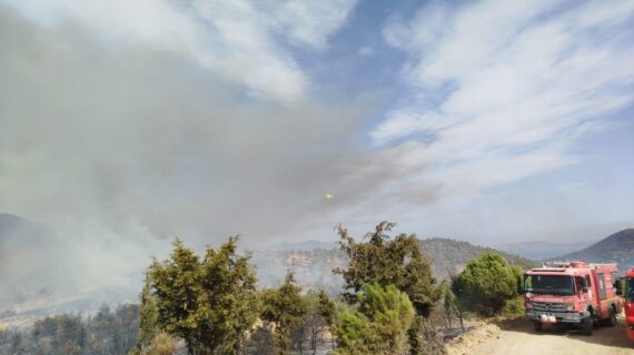​İzmir Büyükşehir Belediyesi ekipleri Foça’daki yangına müdahaleyi sürdürüyor