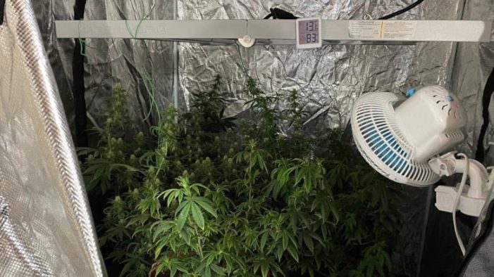 İzmir’de uyuşturucu operasyonu: 3 tutuklam