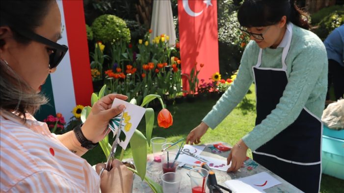 Yunus Emre Enstitüsü tarafından Meksika’da ilk kez “Lale Festivali” düzenlendi