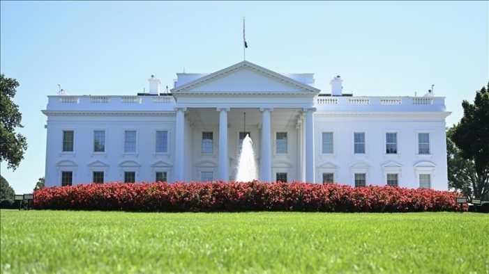 Beyaz Saray Musk’ın başında olduğu Hükümet Verimliliği Departmanına yönetici vekilini açıkladı