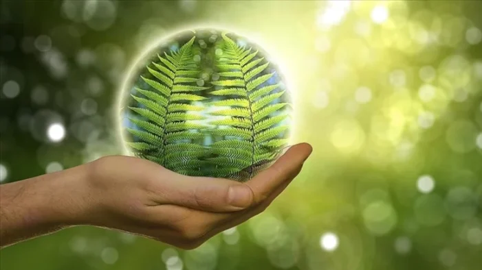 Avrupa’da yeşil dönüşüm değişimi: Özel bir banka kurulması gündemde