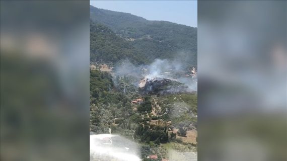 İzmir’in Kemalpaşa ilçesinde çıkan orman yangınına müdahale ediliyor