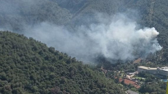 İzmir’de çıkan orman yangınına müdahale ediliyor