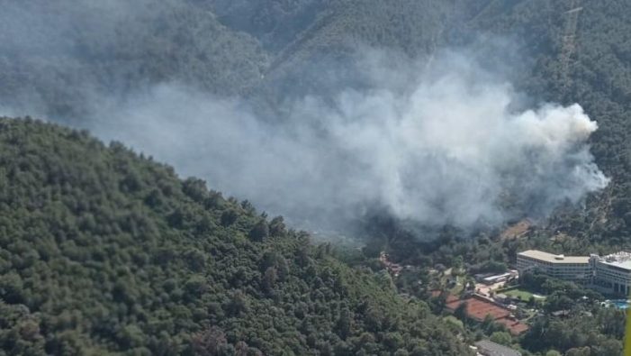 İzmir’de çıkan orman yangınına müdahale ediliyor