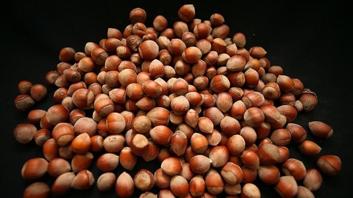 Türkiye fındık ihracatından yılın ilk 6 ayında 1,2 milyar dolara yakın gelir sağladı