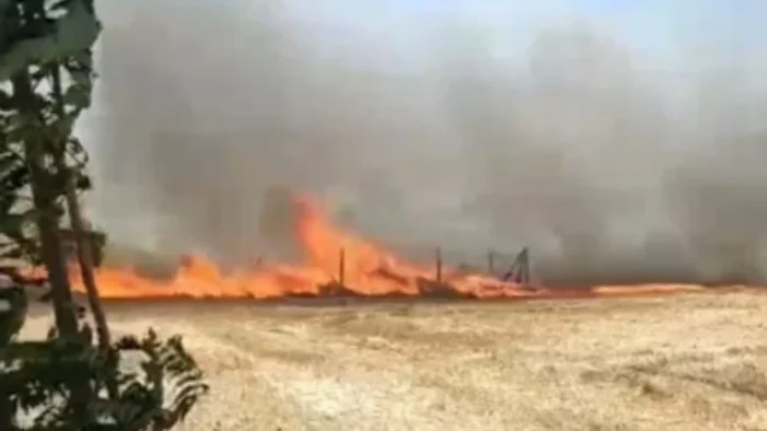 İstanbul’da buğday tarlasında yangın