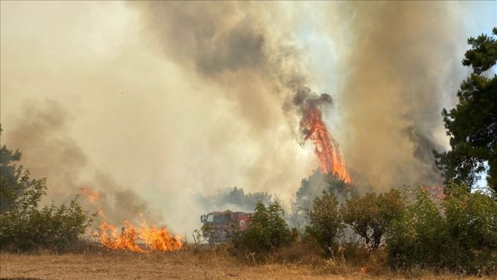 Çanakkale’de orman yangını çıktı
