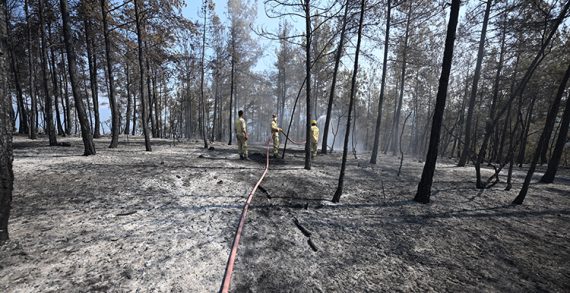 Çeşitli illerden gelen orman kahramanları Karabük’te 6 gündür alevlerle mücadele ediyor Çeşitli illerden gelen orman kahramanları Karabük’te 6 gündür alevlerle mücadele ediyor