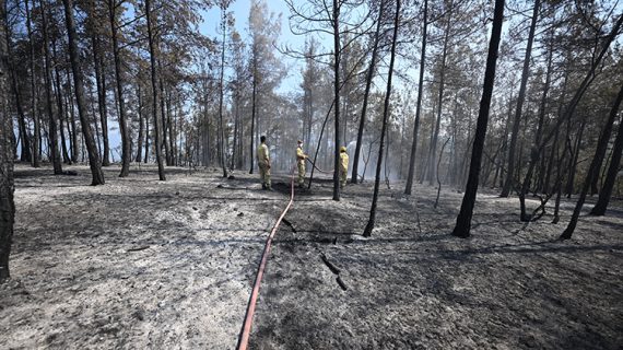 Çeşitli illerden gelen orman kahramanları Karabük’te 6 gündür alevlerle mücadele ediyor