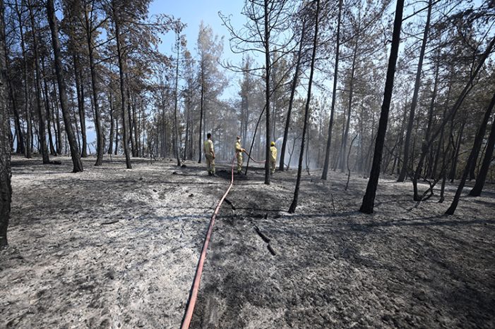Çeşitli illerden gelen orman kahramanları Karabük’te 6 gündür alevlerle mücadele ediyor