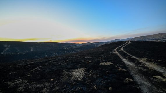 ABD’nin California eyaletinde devam eden orman yangınında 12 bin hektardan fazla alan yandı