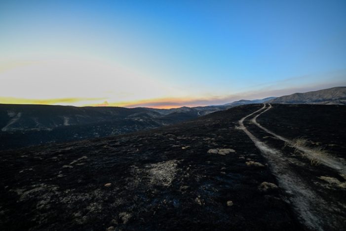 ABD’nin California eyaletinde devam eden orman yangınında 12 bin hektardan fazla alan yandı