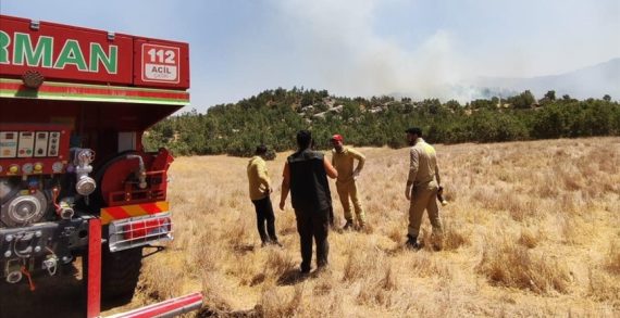 Şırnak’ta orman ve örtü yangınına müdahale ediliyor Şırnak’ta orman ve örtü yangınına müdahale ediliyor