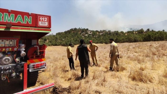 Şırnak’ta orman ve örtü yangınına müdahale ediliyor