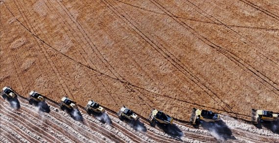 Tarımsal girdi fiyat endeksi haziranda yıllık yüzde 33,88, aylık yüzde 2,52 arttı