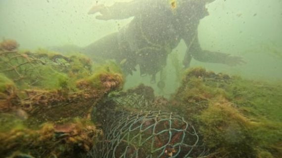 Hayalet ağlar biyolojik çeşitliliğini tehdit ediyor
