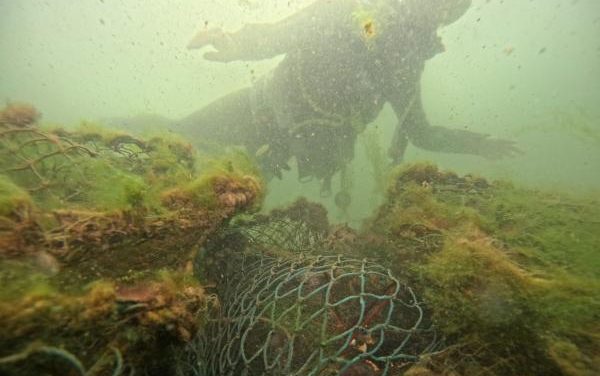Hayalet ağlar biyolojik çeşitliliğini tehdit ediyor