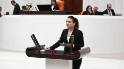 Gökçe Gökçen: “Kadına Yönelik Dijital Şiddette Cezasızlık Politikası Devam Mı Edecek?”