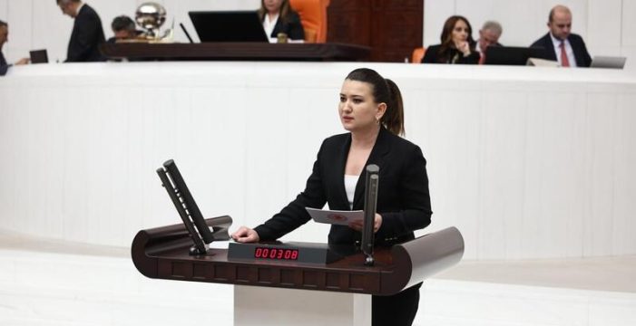 Gökçe Gökçen: “Kadına Yönelik Dijital Şiddette Cezasızlık Politikası Devam Mı Edecek?”