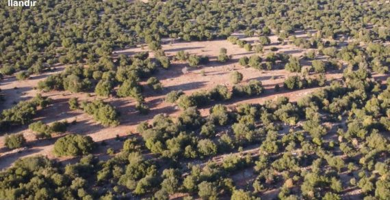 Amazon’dan Türkiye’ye 1,5 milyon avro destek!..