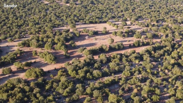 Amazon’dan Türkiye’ye 1,5 milyon avro destek!..