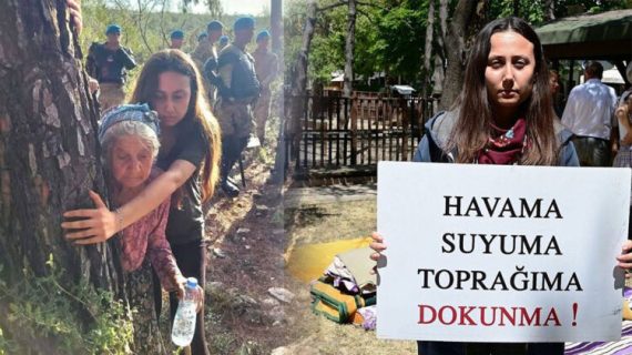 Bir Zeytin Ağacının Çığlığı: Esra’nın “Ömür” Nöbeti
