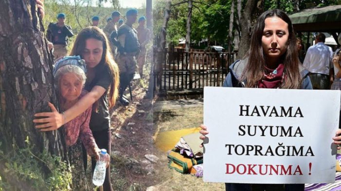 Bir Zeytin Ağacının Çığlığı: Esra’nın “Ömür” Nöbeti