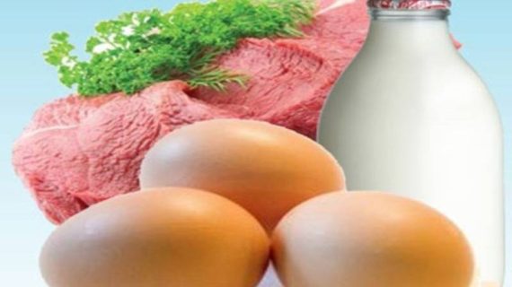 TÜİK’ten Kritik Hayvancılık Verileri