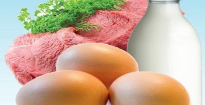 TÜİK’ten Kritik Hayvancılık Verileri