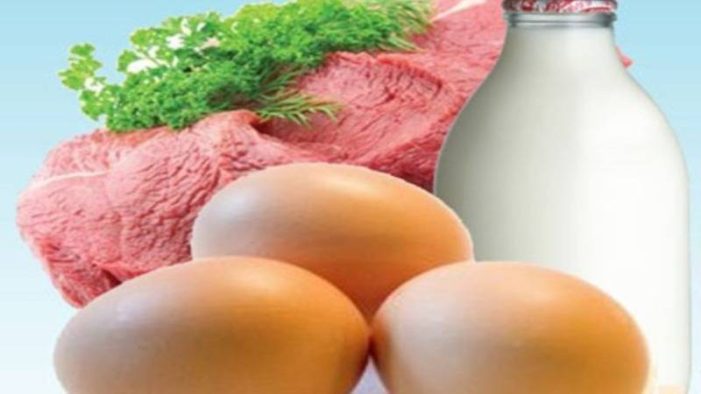 TÜİK’ten Kritik Hayvancılık Verileri