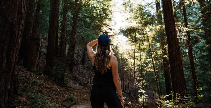 Uzun Yaşamın Biyolojik Şifresi Çözüldü: “37 Genç Protein”