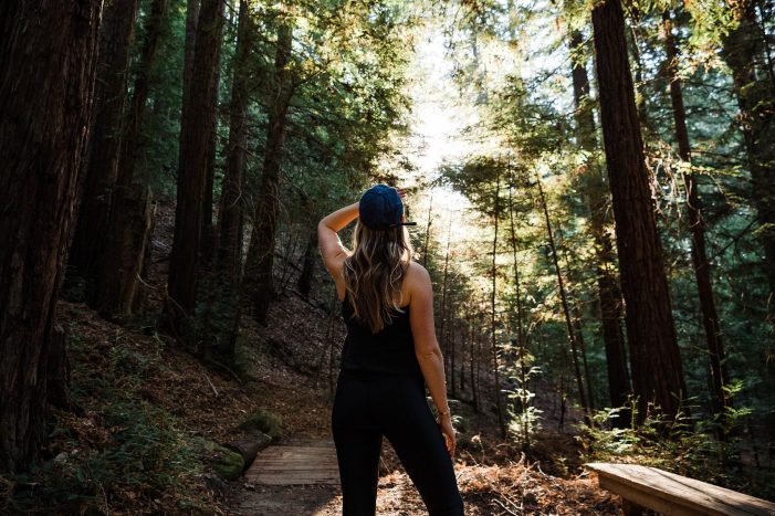 Uzun Yaşamın Biyolojik Şifresi Çözüldü: “37 Genç Protein”