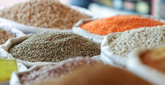 Baharat ve tohum ithalatına düzenleme Resmi Gazete’de yayınlandı..